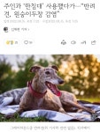 ㅇㅅㅇ두창 근황 - DogDrip.Net 개드립