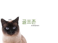 골프존 - DogDrip.Net 개드립