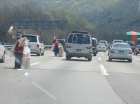 드라이브 쓰루의 민족(feat.고속도로) - DogDrip.Net 개드립