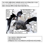 복린이의 자작 복린일기 1화.manhwa - DogDrip.Net 개드립