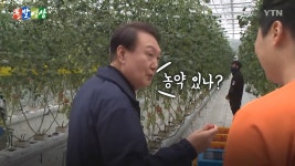 어디서 윤카에게 익지도 않은 방울토마토를 들이미냐 - DogDrip.Net 개드립