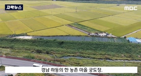 궁도장에서 화살이 날아와 큰일날 뻔한 주민들 - DogDrip.Net 개드립