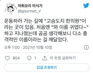 귀여운 이름의 한의원.jpg - DogDrip.Net 개드립