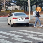 오창LG화학 댕기는놈 같은데 주차 참 개ㅈ 같이도 하네 ㅅㅂ - DogDrip.Net 개드립