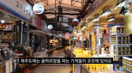 귤하르방 - DogDrip.Net 개드립