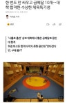 한 번도 안 싸우고 금메달 10개...용인대 합격한 체육특기생.news - DogDrip.Net 개드립