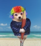 개죽이는 이거로 종결한다 - DogDrip.Net 개드립