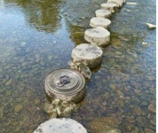 징검다리.....jpg - DogDrip.Net 개드립