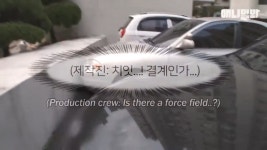 (감동 실화) 매일 봉지 도시락 배달하는 고양이 동숙이 - DogDrip.Net 개드립