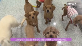 이기영이 키우던 개,고양이는 어떻게 되나 - DogDrip.Net 개드립