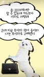 요즘 SNS에서 뜨고 있는 디지털 외상 - DogDrip.Net 개드립