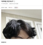 싱글벙글 디씨 헤어갤러리 최신버전.jpg - DogDrip.Net 개드립