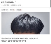 싱글벙글 디씨 헤어갤러리 최신버전.jpg - DogDrip.Net 개드립