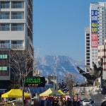 개붕이 속초왔다 - DogDrip.Net 개드립