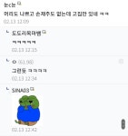 내 차가 망가져가는 과정과 댓글들 - DogDrip.Net 개드립