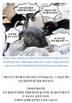 펌, 스압)블랙팬서2가 스토리라인은 좋았던 이유 - DogDrip.Net 개드립
