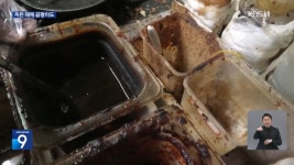 도마에 이거 검은거 곰팡이 아입니꺼?... 아입니더 - DogDrip.Net 개드립