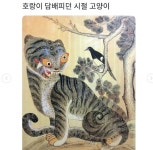 호랑이 담배피던 시절 고양이vs - DogDrip.Net 개드립