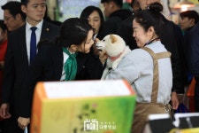 김건희 여사, 대전 태평전통시장 방문 - DogDrip.Net 개드립