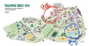 전남대학교 호수에 사는 오리들 - DogDrip.Net 개드립