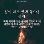 멸망전 심리를 일컫는 속담....jpg - DogDrip.Net 개드립