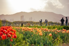 [사진 20장/61MB]순천에서 무료로 방문하기 좋은 곳 - DogDrip.Net 개드립