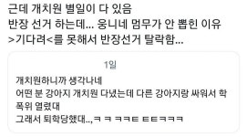 강아지 유치원 별일이 다있음 - DogDrip.Net 개드립