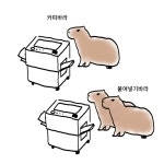 카피바라가 두마리면? - DogDrip.Net 개드립
