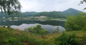 대전 로하스 공원 - DogDrip.Net 개드립