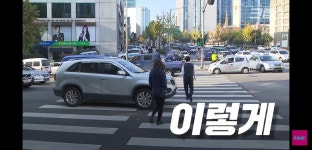 평범해 보이는 청주의 횡단보도가 특별한 이유.jpg - DogDrip.Net 개드립