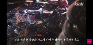평범해 보이는 청주의 횡단보도가 특별한 이유.jpg - DogDrip.Net 개드립