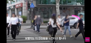 평범해 보이는 청주의 횡단보도가 특별한 이유.jpg - DogDrip.Net 개드립