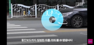 평범해 보이는 청주의 횡단보도가 특별한 이유.jpg - DogDrip.Net 개드립