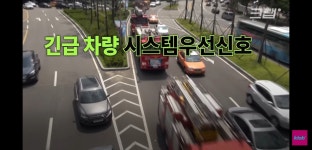평범해 보이는 청주의 횡단보도가 특별한 이유.jpg - DogDrip.Net 개드립
