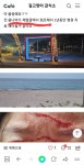약혐)고양이의 보은.real - DogDrip.Net 개드립