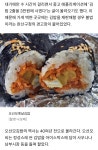 전주 당근김밥 먹어 본 개붕쓰? - DogDrip.Net 개드립