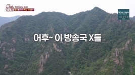 동물농장 강아지 건강검진 하러왔다 빡친 수의사 - DogDrip.Net 개드립