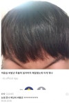 헤어 갤러리 레전드 모음 - DogDrip.Net 개드립