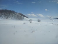 스압)일본 최북단 지역 - DogDrip.Net 개드립