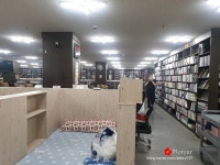 24시간 만화카페 안가는 이유 - DogDrip.Net 개드립