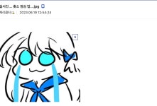 디씨에 맨날 ㅈ소기업 점심밥 인증하던 갤러 ㅠㅠ - DogDrip.Net 개드립