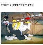 톰과제리.ㅗㅜㅑ - DogDrip.Net 개드립
