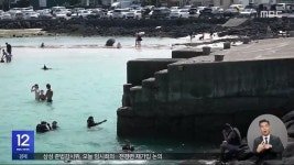 다이빙했는데 수심 1미터‥자칫 전신마비 - DogDrip.Net 개드립