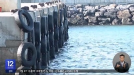 다이빙했는데 수심 1미터‥자칫 전신마비 - DogDrip.Net 개드립