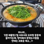 못 먹는 사람한텐 고수급인 채소.jpg - DogDrip.Net 개드립