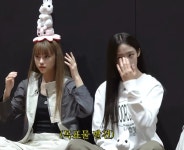 어떻게 이렇게 개와 고양이 - DogDrip.Net 개드립