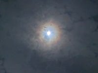 별건 아닌데 - DogDrip.Net 개드립