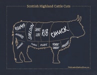 인형같이 생긴 소.gif - DogDrip.Net 개드립