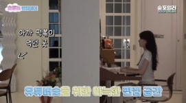 거북목은 안 생길듯한 수지가 컴퓨터하는 자세 - DogDrip.Net 개드립