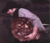 한국식 밥도둑 vs 서양식 빵도둑 - DogDrip.Net 개드립